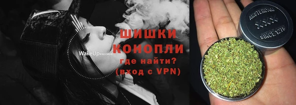 ПСИЛОЦИБИНОВЫЕ ГРИБЫ Балабаново
