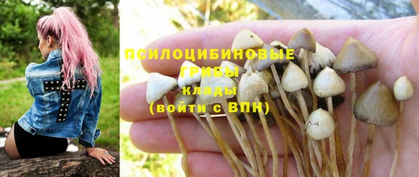 ПСИЛОЦИБИНОВЫЕ ГРИБЫ Балабаново