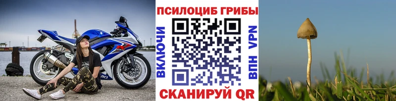 Псилоцибиновые грибы MAGIC MUSHROOMS  купить наркотик  Красноперекопск 